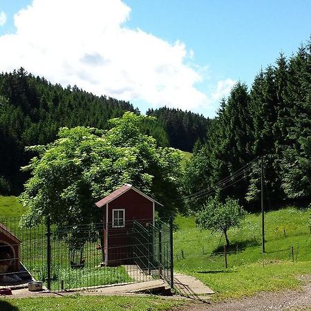 Ferienwohnung Ringwald Biederbach ภายนอก รูปภาพ