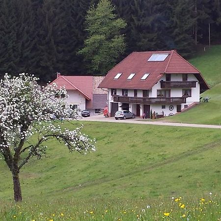 Ferienwohnung Ringwald Biederbach ภายนอก รูปภาพ