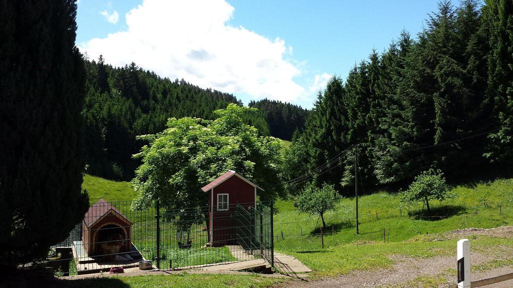 Ferienwohnung Ringwald Biederbach ภายนอก รูปภาพ